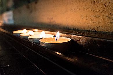 可爱风经营FPS《史莱姆牧场2》公开游玩视频